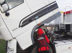 Fot. MOSG Funkcjonariusz Straży Granicznej prowadzi oględziny zestawu ciężarowego.