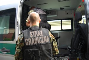 Fot. MOSG Wyprowadzenie zatrzymanego mężczyzny do pojazdu służbowego Straży Granicznej