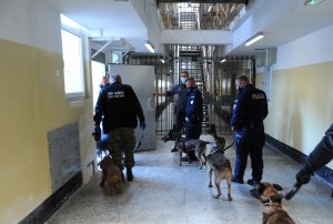Fot. Piotr Szymański-Sztym/SW Przeszukanie celi w sztumskim więzieniu