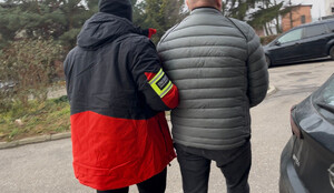 Sklejka objęta embargo trafiała do Polski. Fot. MOSG Sklejka objęta embargo trafiała do Polski. Fot. MOSG