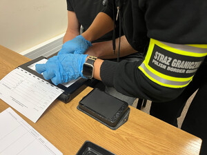 Sklejka objęta embargo trafiała do Polski. Fot. MOSG Sklejka objęta embargo trafiała do Polski. Fot. MOSG