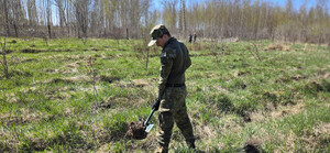 Funkcjonariusz SG sadzi drzewa. Fot. MOSG Funkcjonariusz SG sadzi drzewa. Fot. MOSG