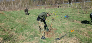 Funkcjonariusz SG sadzi drzewa. Fot. MOSG Funkcjonariusz SG sadzi drzewa. Fot. MOSG